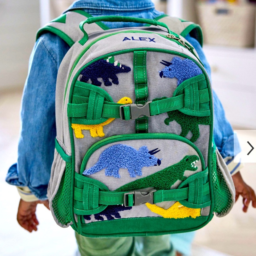 Pottery Barn Kids Mackenzie Grey Dinos Chenille Backpack. Small.
